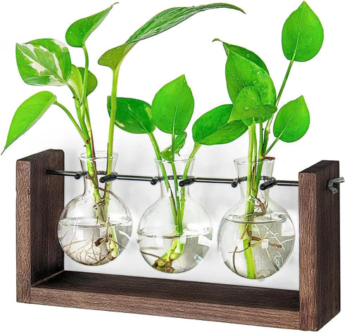 Glass Planter Bulb Vase with Retro Solid Wooden Stand and Metal Swivel Holder for Hydroponics Plants